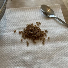 Paper towel moisture test