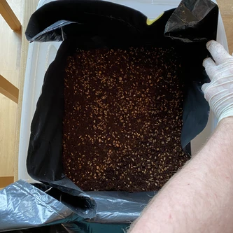 Mixed coco coir and grain inside the tub