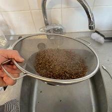 Straining rye in colander